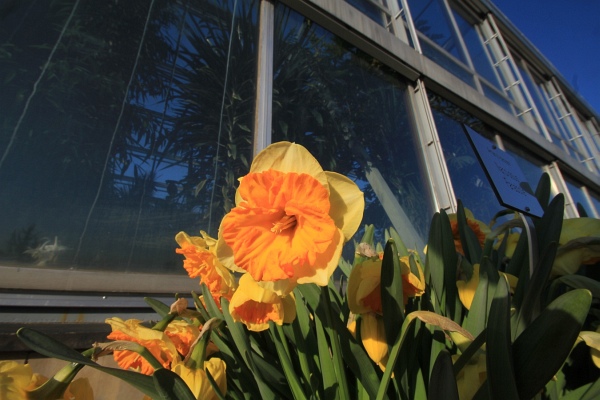 Fruehling   035.jpg